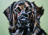 F&S Gift Store Pet Portraits - Original Oil on Paper Paintings - Dog Portrait - Pet Loss - Dog & Cat Lovers Gifts - Personalised Portraits from Photo