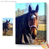 F&S Gift Store Custom Horse Pet Portrait From Your Photos