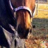 F&S Gift Store Custom Horse Pet Portrait From Your Photos