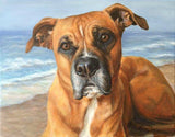 F&S Gift Store Custom Pet Portrait, Oil Painting
