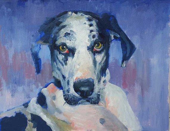 F&S Gift Store Custom Pet Portrait Oil Painting Dog Painting Cat Painting on canvas 12x16 Wildlife Artist DFAT