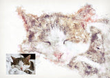 Personalized Oil Painting From Photos, handcraft art on Canvas-Show Case PBA101055-24