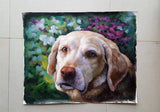 F&S Gift Store Hand Painted Commission Pet Oil Painting , paint pet or animal from photo , Custom Dog Portrait Art , Cat Art