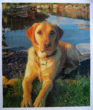 Personalized Oil Painting From Photos, handcraft art on Canvas-Show Case OKL101244-24