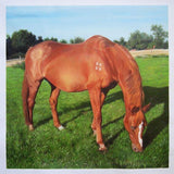 Personalized Oil Painting From Photos, handcraft art on Canvas-Show Case OKL101244-24