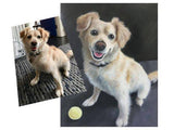 Personalized Oil Painting From Photos, handcraft art on Canvas-Show Case TOB100218-24