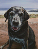 Personalized Oil Painting From Photos, handcraft art on Canvas-Show Case BMJ101210-12