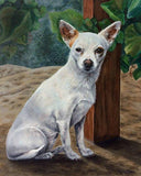 F&S Gift Store Custom Pet Portrait, Oil Painting