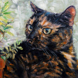 F&S Gift Store Cats! Custom cat portrait cat oil painting by puci, 10x10"