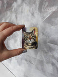 F&S Gift Store Cat magnets for fridge Custom pet portrait magnet oil painting on wood gift For cat lover Refrigerator magnets handpainted artwork
