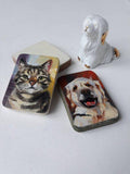 F&S Gift Store Cat magnets for fridge Custom pet portrait magnet oil painting on wood gift For cat lover Refrigerator magnets handpainted artwork