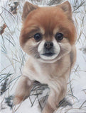 Personalized Oil Painting From Photos, handcraft art on Canvas-Show Case RSL102242-30