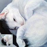 F&S Gift Store Custom Painted Pet Portraits in Oil