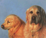 Personalized Oil Painting From Photos, handcraft art on Canvas-Show Case HKJ101064-72