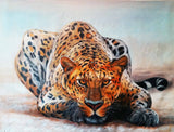 F&S Gift Store Jaguar painting, Leopard, custom painting, tigar painting, animal painting,handmade, from photo,oil painting,oil on canvas,wild cat painting
