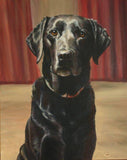 F&S Gift Store Custom Pet Portrait, Oil Painting
