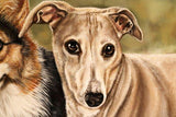 Personalized Oil Painting From Photos, handcraft art on Canvas-Show Case SOD100237-30