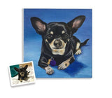 F&S Gift Store 10x10x1.5â€?Custom pet painting portrait on canvas from photo oil or acrylic original dog cat Boston terrier art lavender decor