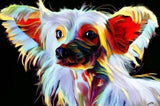 F&S Gift Store Personalized dog breeds oil painting. Border Collie siberian husky Pug illustration. Digital pet portrait. Shih tzu pomeranian gift ideas