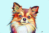 F&S Gift Store Custom dog artwork paint my pet. Puppy portrait from photo. Digital oil paintings. Unique christmas lover gift ideas French bulldogs staffy
