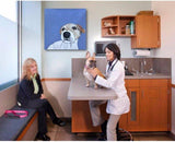 F&S Gift Store BIG Sale Lot of 14 Paintings at 90-off / Art for Veterinarians. Art Veterinary Hospitals. Veterinary Decor. Custom Pet Portraits. / 90% off
