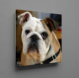 F&S Gift Store Custom Pet Portraits, Custom Dog Portraits, Oil Painting, Custom cat Portrait, Painting from Photo, Pet Oil Paints, Dog & Cat Oil Paintings