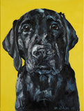 F&S Gift Store Custom Pet Portrait Oil Painting 12x16 Pet Memorial Birthday Gift