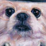 Personalized Oil Painting From Photos, handcraft art on Canvas-Show Case HPA102442-20