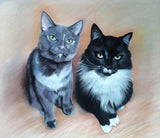 F&S Gift Store Cat paintind, cat custom painting, 2 cats, animals painting, handmade, created from photo, animal art, custom portrait, pastel, cat portrait