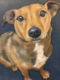 F&S Gift Store Pet portrait, original painting, canvas, oil painting, animal dog,cat, custom, commission, ready to hang, not on the high st, wall art,home
