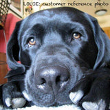 Personalized Oil Painting From Photos, handcraft art on Canvas-Show Case NAR100339-12