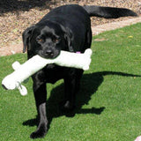 F&S Gift Store Black Labs & Gentle Giants, custom dog paintings, dog portraits, pet portrait Oil Paintings, 8x8"