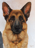 Personalized Oil Painting From Photos, handcraft art on Canvas-Show Case AMF100844-30