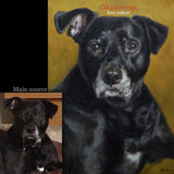 Personalized Oil Painting From Photos, handcraft art on Canvas-Show Case CNK101211-24