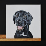 F&S Gift Store CUSTOM dog painting, custom pet painting, pet painting custom, dog painting custom, custom pet portrait, pet portrait, pet portrait custom
