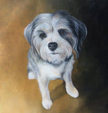 Personalized Oil Painting From Photos, handcraft art on Canvas-Show Case SIR100447-12