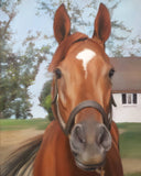 Personalized Oil Painting From Photos, handcraft art on Canvas-Show Case QIN100783-48
