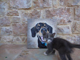 F&S Gift Store Pet custom portrait commission Oil painting on canvas dog Cat animal artwork Personalized gift custom portrait animal memorial gift