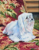 Personalized Oil Painting From Photos, handcraft art on Canvas-Show Case QNK102092-36
