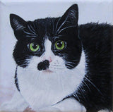 F&S Gift Store Cat painting, Custom pet portrait, Custom cat portrait, Oil painting, Cat art, Personalized gift, Custom portrait, Unique gifts