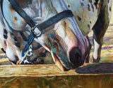 F&S Gift Store 100% Hand Painted Commission Horse oil painting Personalized impressionist Animal Pet Art - paint from digital photos/images