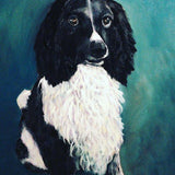 F&S Gift Store Pet portrait, original painting, canvas, oil painting, animal dog,cat, custom, commission, ready to hang, not on the high st, wall art,home