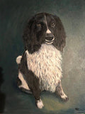 Personalized Oil Painting From Photos, handcraft art on Canvas-Show Case OCF102301-24