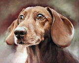 Personalized Oil Painting From Photos, handcraft art on Canvas-Show Case FEN100986-48