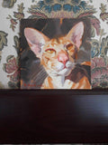 F&S Gift Store Orange cat painting portrait original art on canvas oil Custom pet portrait painted cat lover illustration Birthday gift Home decor Wall art