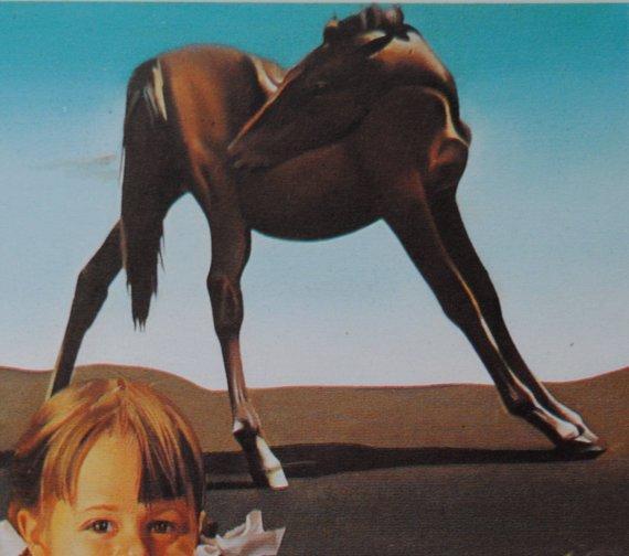 Personalized Oil Painting From Photos, handcraft art on Canvas-Show Case QPE100598-20
