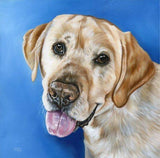 Personalized Oil Painting From Photos, handcraft art on Canvas-Show Case CKB101154-24
