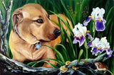 F&S Gift Store Custom pet portrait, Oil pet portrait, Pet portraits by photo, Pet portrait on canvas, Custom handpainted, Custom animals a