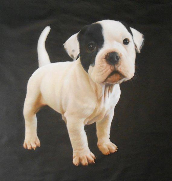 F&S Gift Store Portrait Dog Pet Cat Horse photo to painting Huge quality orginal art from Australia Cherish Your Loved Ones Forever with custom service