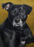 Personalized Oil Painting From Photos, handcraft art on Canvas-Show Case CNK101211-24